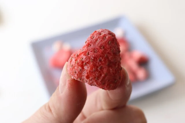 試してみた DAISO フリーズドライ ごろっといちごのリアルな口コミ・レビューLIPS