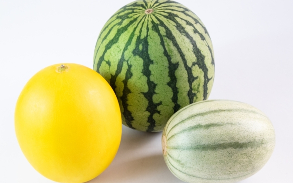 第1弾は見た目も食感も楽しい「スイカ」味！パールレディ-ティーラボ」から期間限定“ティーフローズン”登場Emo!miuエモミュ