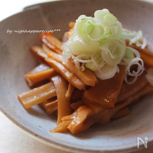 純100%国産 極太塩メンマ 業務用500g 静岡県浜松市産孟宗竹原料使用 ネコポスゆうパケット配送 送料無料- 浜松メンマ研究所