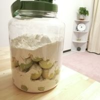 ジップロックで梅仕事！実も食べられる カリカリ梅シロップ