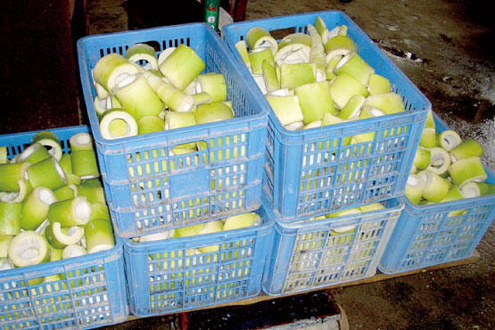 水煮たけのこでOK！「自家製メンマ」作り方＆絶品アレンジレシピキナリノ