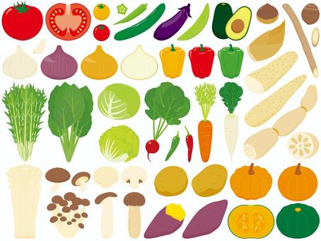 いろいろな野菜の断面 - フォトライブラリ