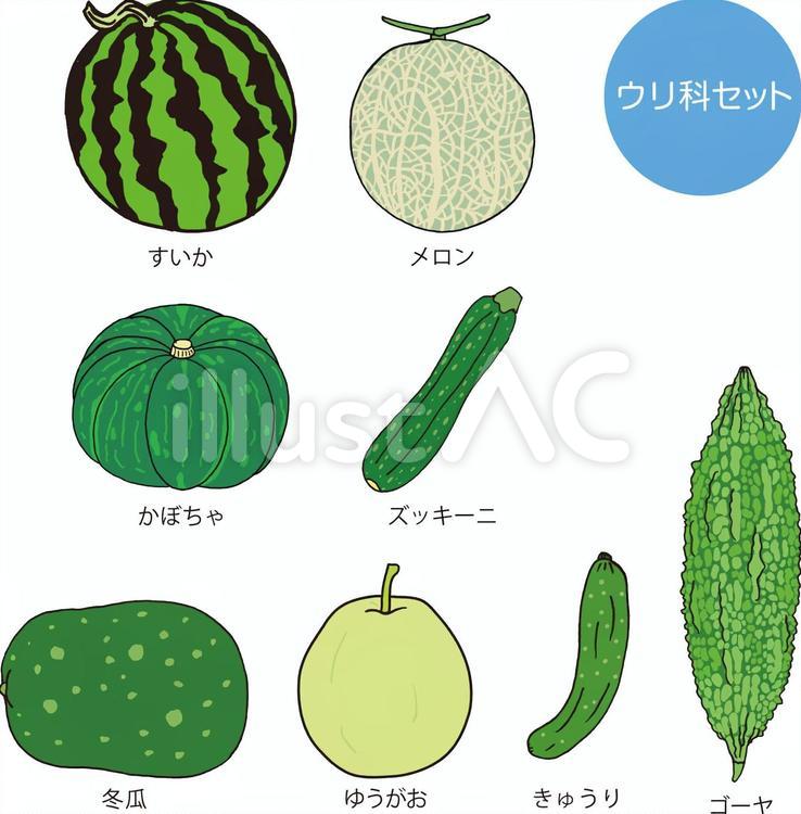 実は「かぼちゃ」の仲間！ズッキーニとはどんな野菜？季節の食材のHOW TOアマノフーズ公式ブランドサイト