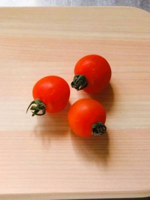 ミニトマトのヘタは?ごはんは? 梅雨時期のお弁当で食中毒を起こさないためのちょっとした心がけ食べチョク&more