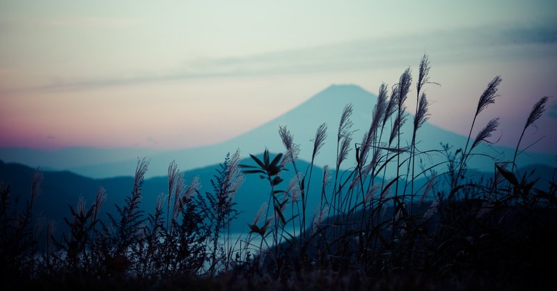 青山フラワーマーケット｜ニュース｜花・花束・フラワーギフトの青山フラワーマーケット 全国の花屋・店舗情報｜通販サイト |  青山フラワーマーケット｜花や緑とともに暮らす毎日を