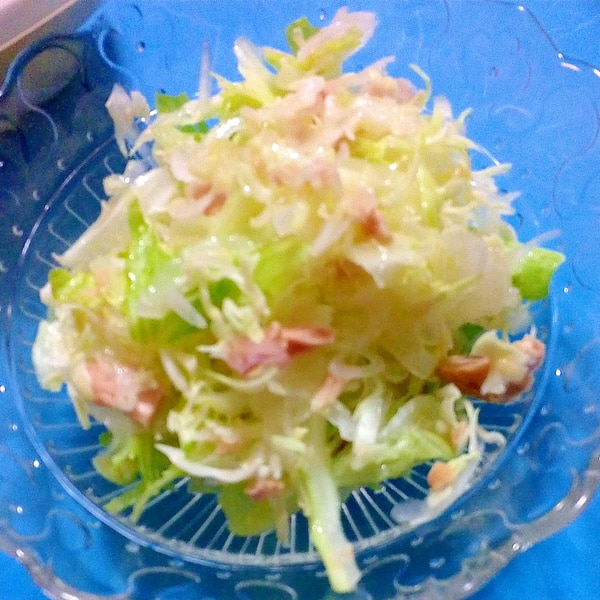 キャベツの人気おかず 簡単10分！大量消費にも活躍レシピ30選の人気レシピ・作り方デリッシュキッチン