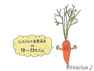 ミニ人参をプランターで育てる方法 家庭菜園ブランドUETE