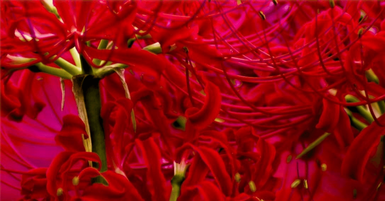 妻の料理がまずい 第１９話※実話を元にフェイク&脚色を加えています つづきます ☆ブログで先読みできます☆日常漫画 日常 日記 エッセイ漫画 漫画 イラストグラム イラスト コミックエッセイ 体験談