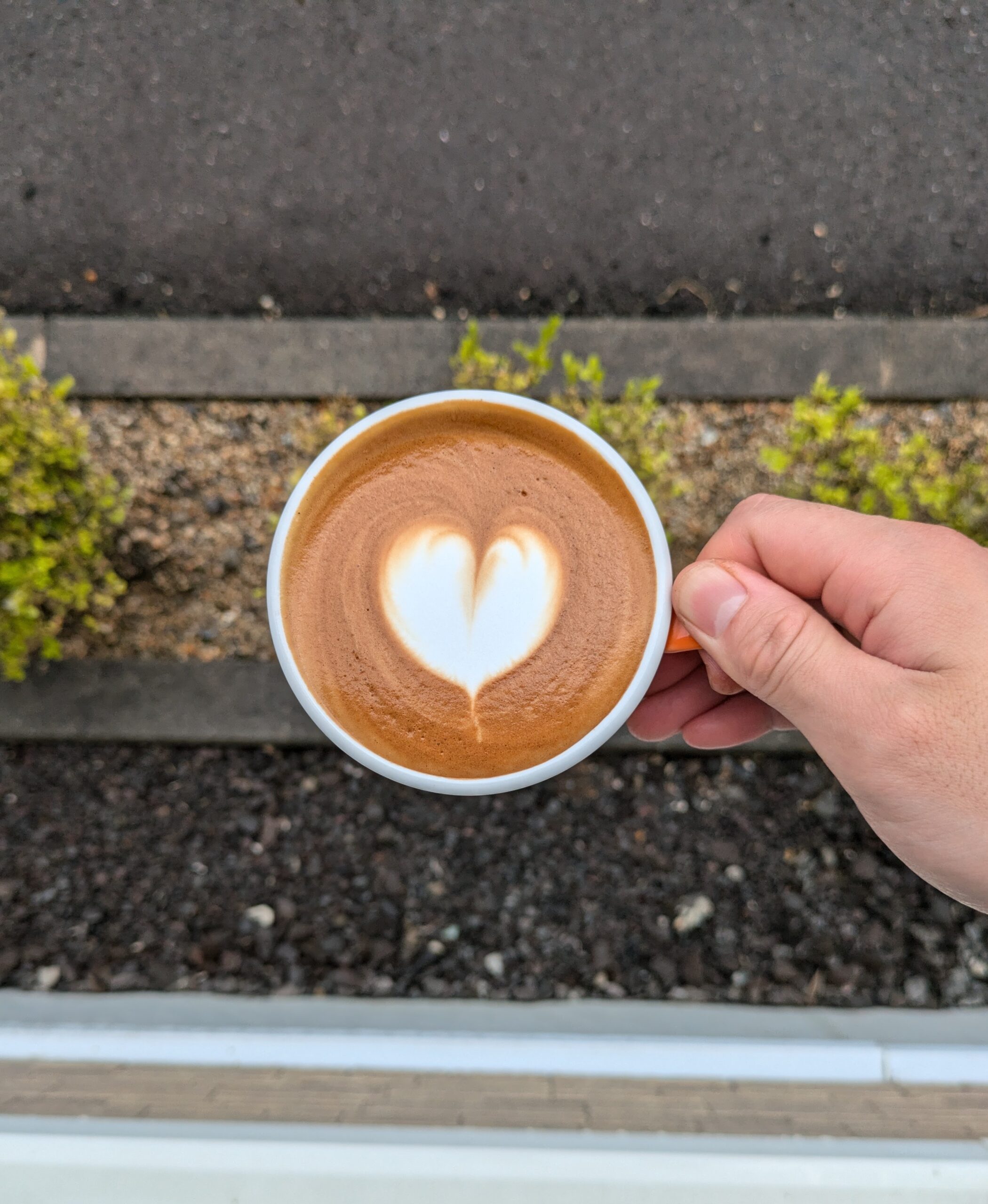 自宅でラテアート 作り方やコツを解説!独学でも必ずできます!A&K COFFEE