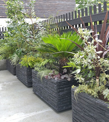 厳選！目隠し常緑樹の新常識癒樹工房ゆうきこうぼう