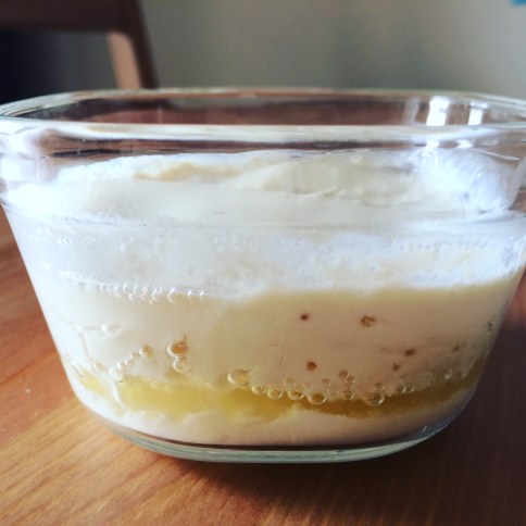 いつものプレーンヨーグルトで出来る！, もっちり濃厚なグリークヨーグルトの作り方🥰, もっちりねっちり濃厚🤎, おうちで食べられます🫶, .,., ., ., .,グリークヨーグルトグリークヨーグルトボウル韓国カフェ韓国スイーツ水切りヨーグルトギリシャヨーグルトおうちカフェ簡単スイーツ簡単おやつ簡単レシピYogurtgreekyogurt