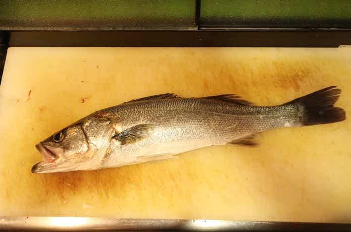 夏のスズキは高級品です東京築地目利き協会