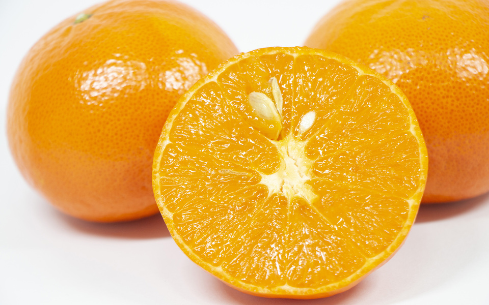 愛媛みかんの特徴について愛媛産の温州みかんをお探しなら