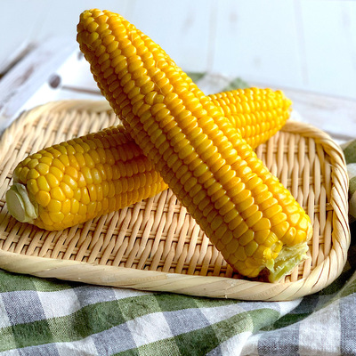 トウモロコシのレンジ蒸し焼き 副菜