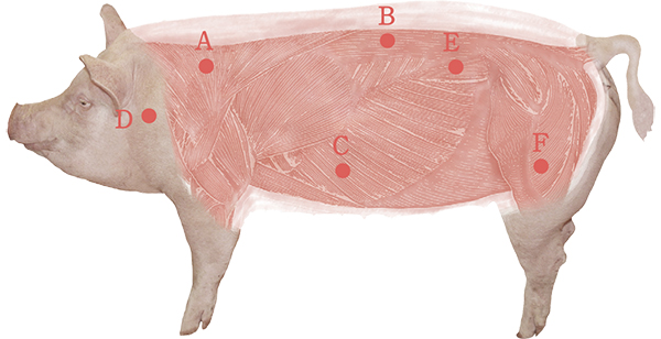 豚肉を上手に利用するためには？HPA 北海道養豚生産者協会
