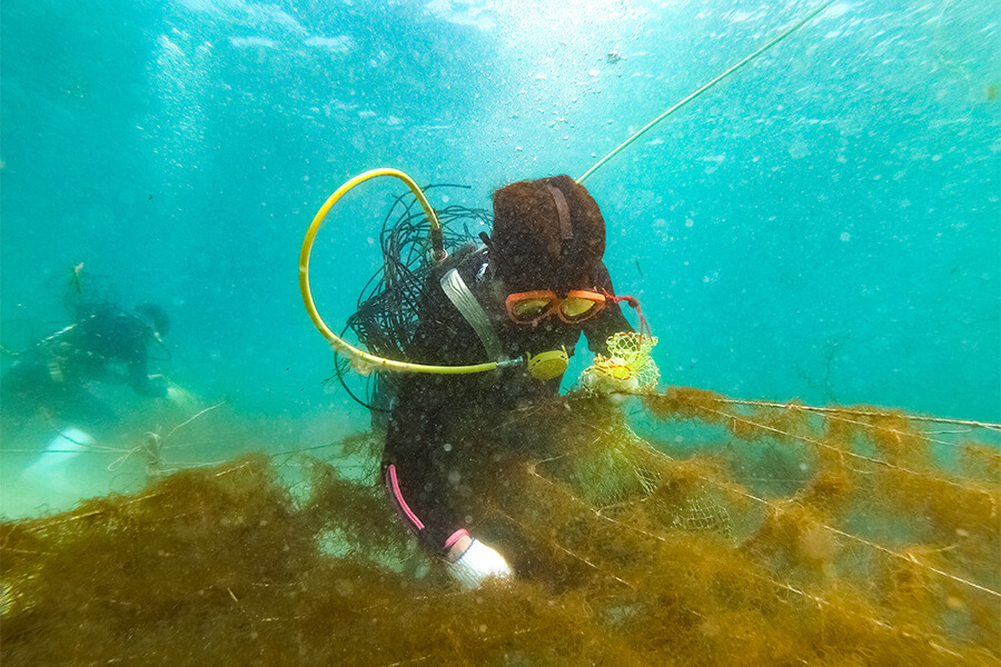 もずくは賞味期限切れで腐る？もずくは腐るとどうなる？見分け方は？お役立ちラボ