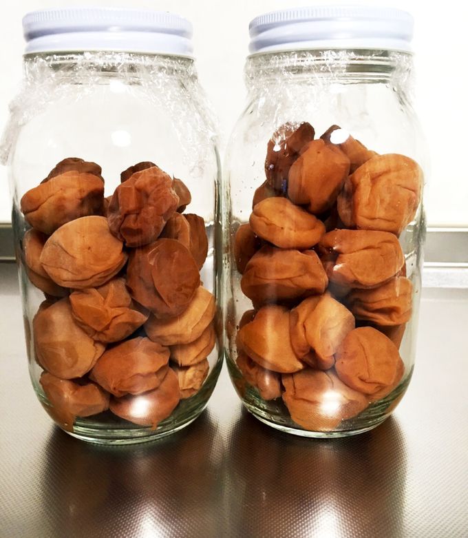 さしす梅漬けのレシピ。簡単！干さない梅干しの作り方。 - LIFE.net