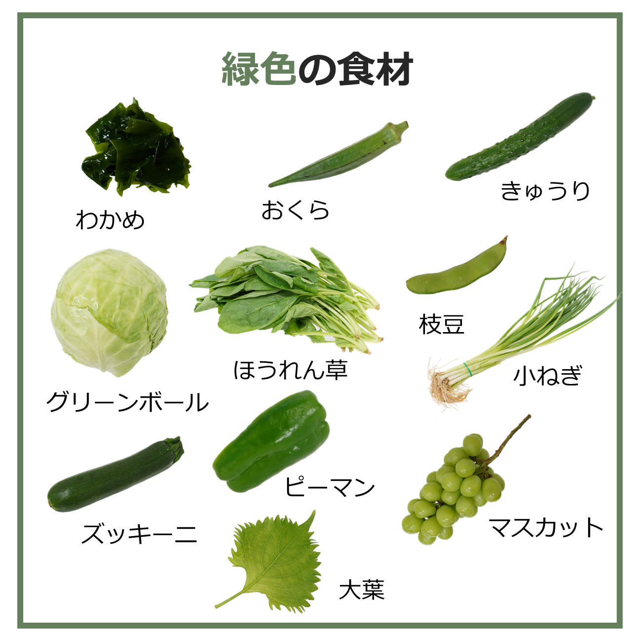 緑色の洋梨のイラスト無料のフリー素材 イラストエイト