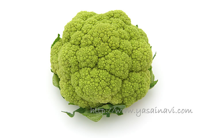 花野菜：カリフラワー・連峰の苗10連カットパック 10株分の通販園芸ネット