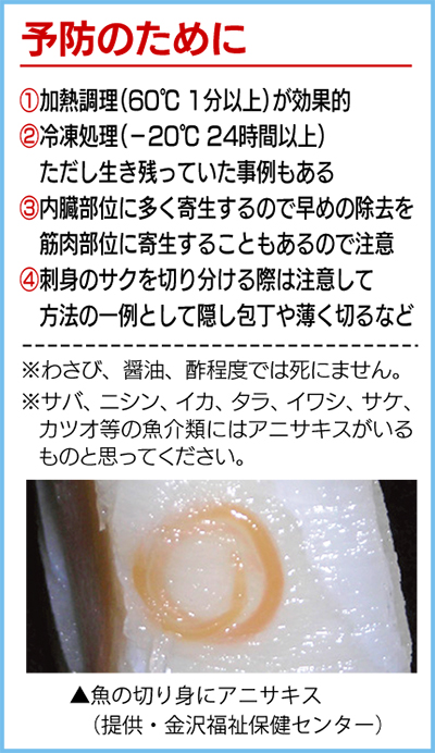 養殖魚にアニサキスは、いない？餌や種苗 稚魚 から考える！魚食普及推進センター 一般社団法人 大日本水産会