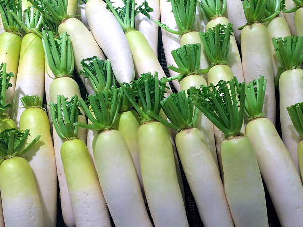 大根の変色原因と美味しい食べ方ガイド