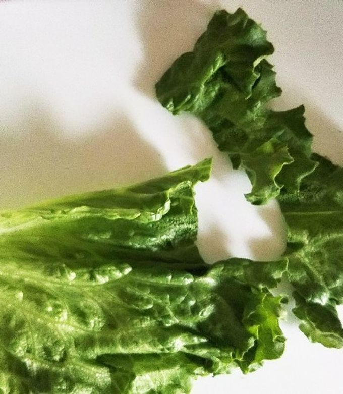 冷蔵・冷凍・カット レタスの上手な保存方法を徹底紹介 - macaroni