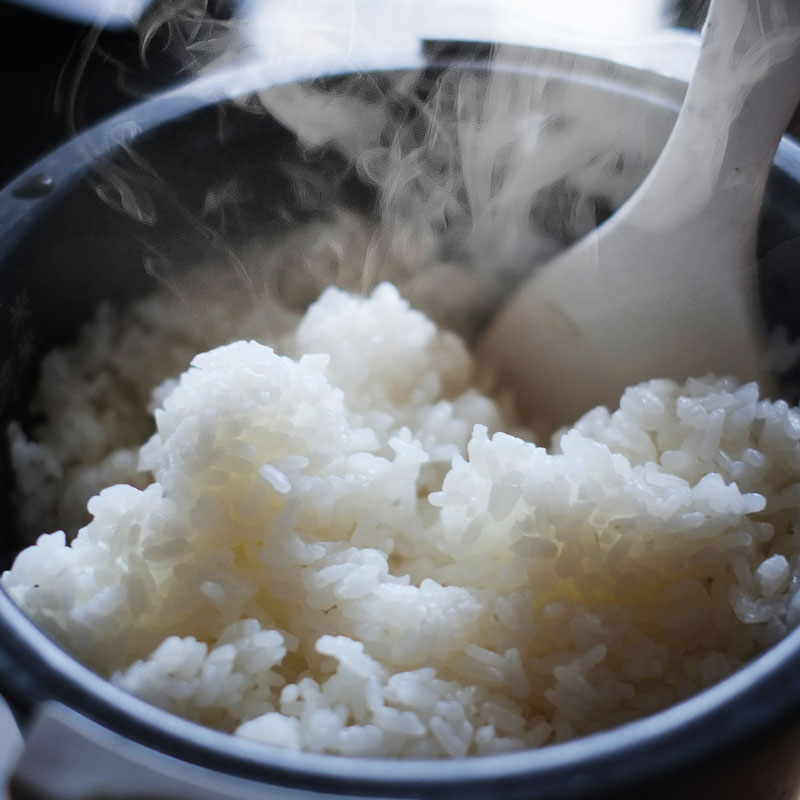 米 日頃の感謝を米て 9kg 3kg×3 コシヒカリ 精米 白米 お米 こめ コメ 富山県 高岡市 FAD-1426 -富山県高岡市ふるさとチョイス - ふるさと納税サイト