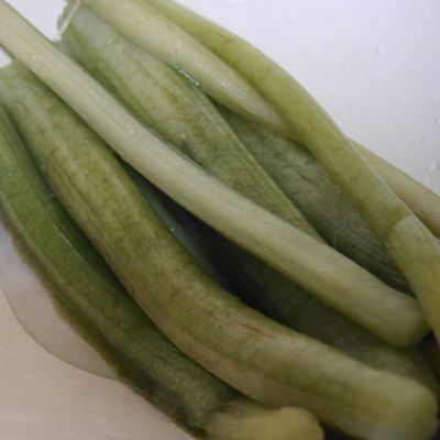 ずいきの下処理・保存方法冷蔵・冷凍?あく抜き方法は重曹で?皮ごと?お役立ち!季節の耳より情報局