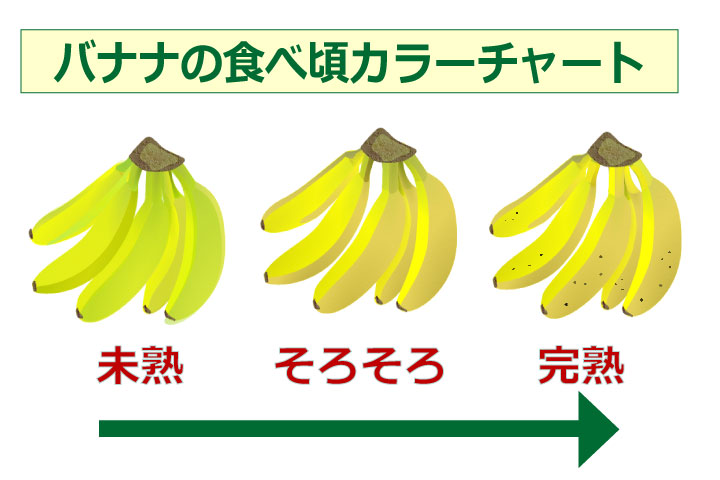 バナナを冷蔵庫に入れちゃダメ?実はおすすめ!長期保存の裏技を紹介 - E・レシピ 1 1ページ