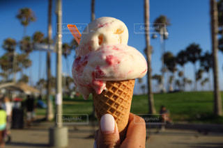 桜のオペラケーキ