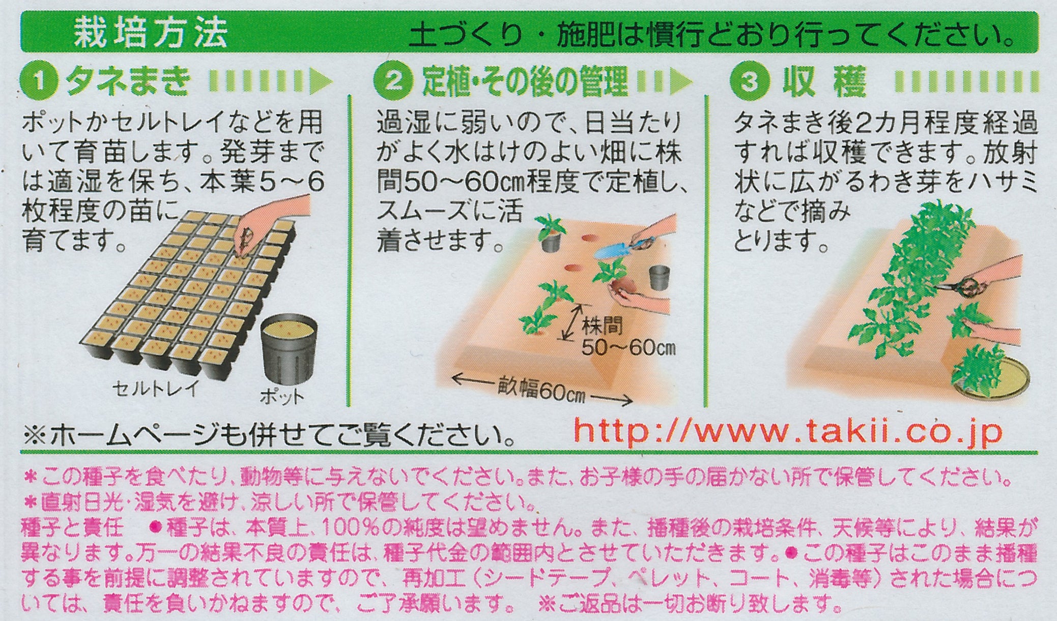 アイスプラントそだレポ 栽培レポート byれんげのはなみんなの趣味の園芸