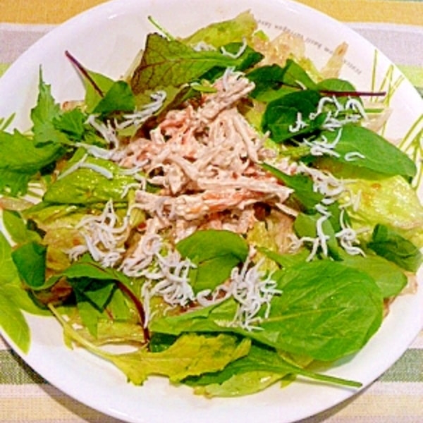 たのめーる 叙々苑 野菜サラダのたれ 300ml 1本の通販