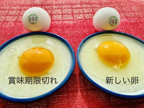 レシピつき 半熟煮卵の賞味期限・保存方法 - macaroni