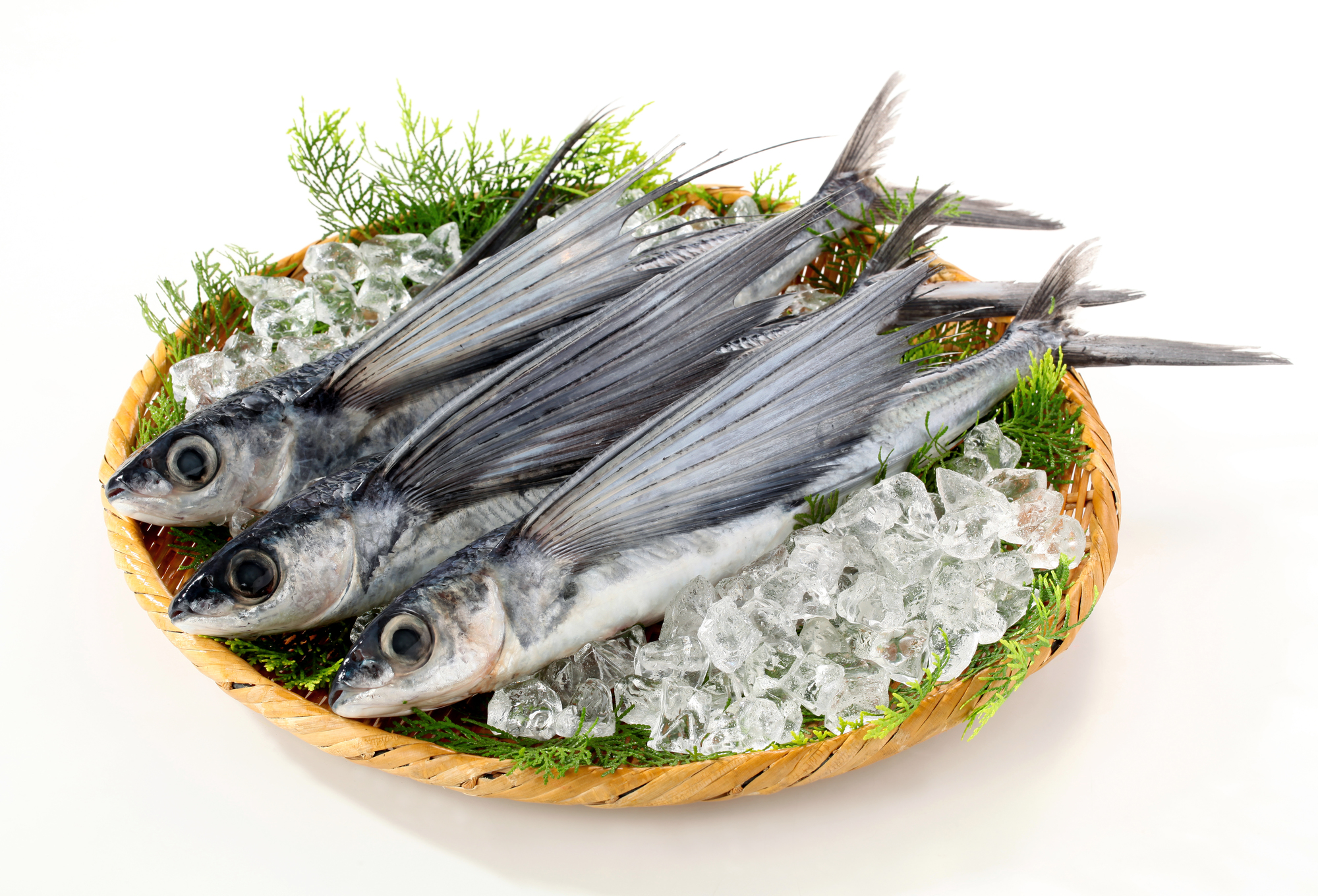 トビウオのニラから揚げ今月のおうちごはん