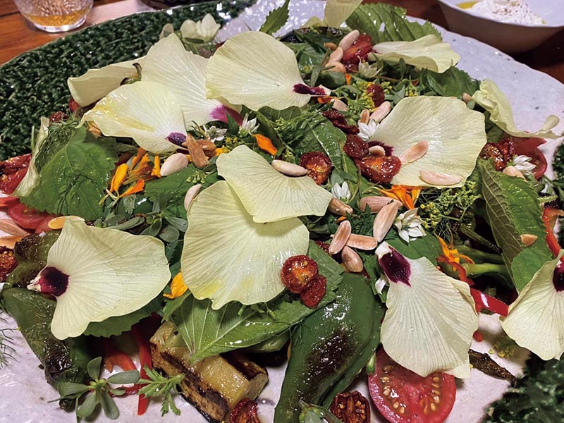 えっこれ食べられるの？！スベリヒユ美味しい夏の雑草の栄養と食べ方とは＜＜山菜・野草レシピ＞＞ racss- エキスパート - Yahoo!ニュース