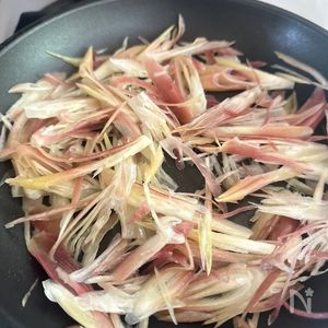 豆知識 みょうがの保存は冷蔵？冷凍？上手な保存方法＆期間2ページ目- macaroni