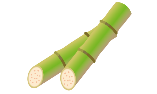 サトウキビと黒砂糖のイラスト素材259674977 毎月1点無料 フリー のストックフォト イメージマート