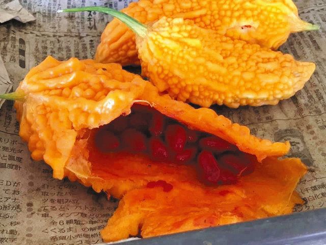ゴーヤがオレンジ色だと毒！？赤い種は食べられる？食べ方を伝授！いちにのさんし