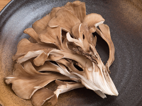 まいたけの賞味期限はいつまで？日持ちの目安や保存方法を紹介PREZO プレゾ- 北海道のお取り寄せグルメと産直通販