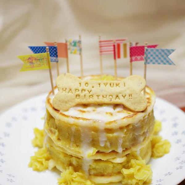 基本からアレンジまで！思わずつくりたくなる「犬人間」のレシピ集クックパッド