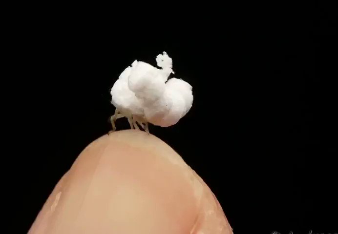 長野・岡谷市のおみやげこのごろおおらかなメディア