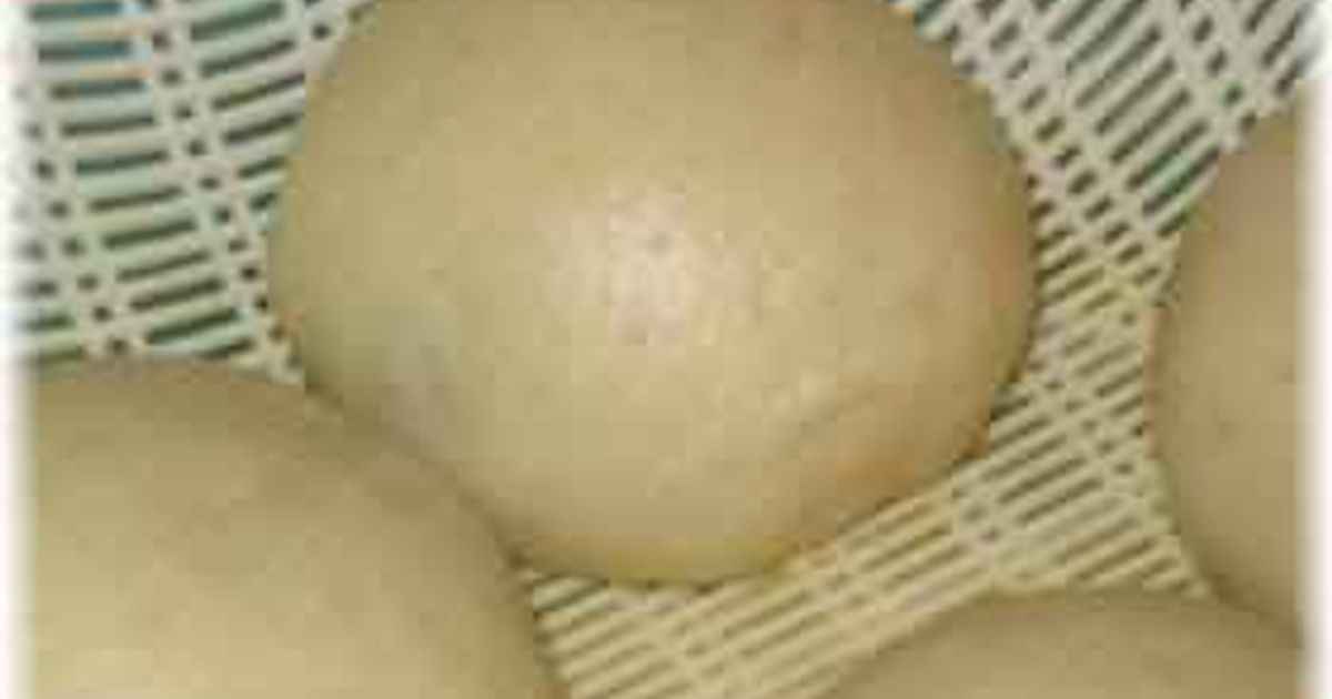 酒饅頭の美味しい食べ方やアレンジ集を紹介します角田製菓の酒まんじゅう