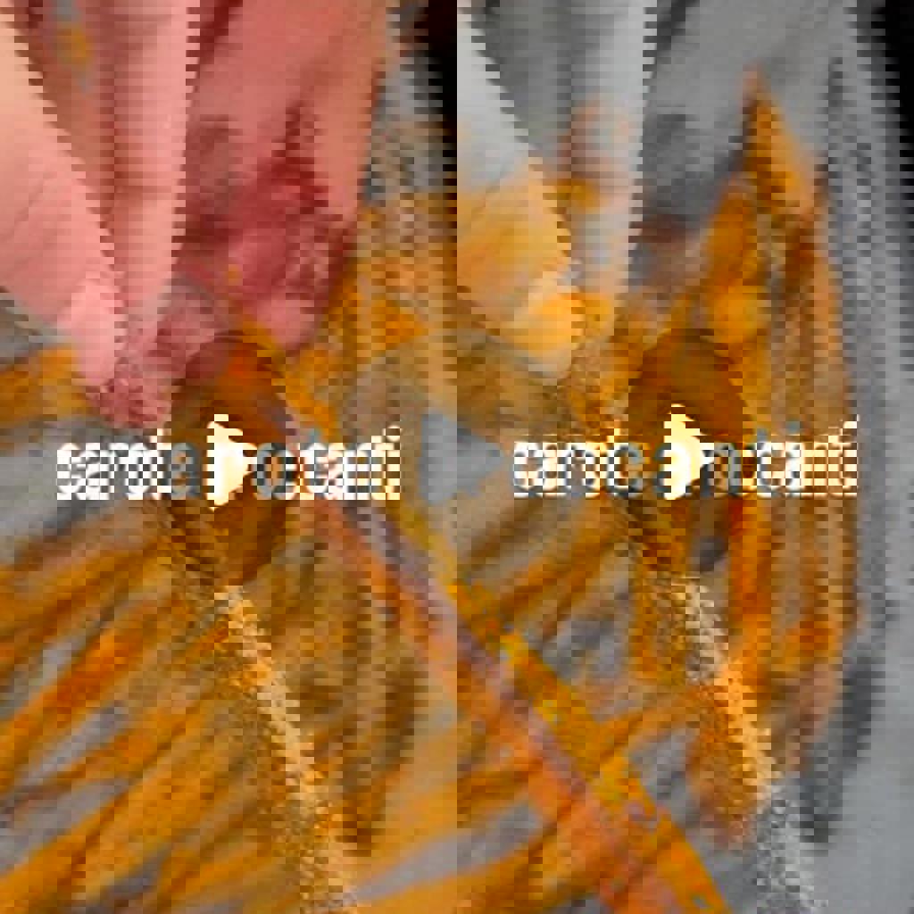 人参をオーブンでじっくり焼くと甘くてほんとに美味しい☺️ でも👨‍🍳が唯一苦手な食べ物が人参だから、たぶん殆ど私が食べることになるかな🥕笑菜の花の辛子和えも辛子をガツンと効かせました🙆‍♀️お弁当おかず作り置きつくりおき 作り置きおかず 和食お弁当