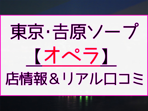 西川口ソープおすすめランキング10選。NN/NS可能な人気店の口コミ＆総額は？ | メンズエログ