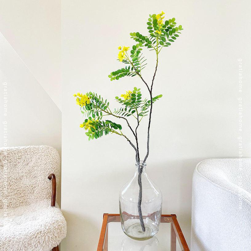 長月 6月御縁日菓子シャインマスカット餅お休みのお知らせ浅草雷門和菓子栗むし羊かんjapaneseconfectionelyおやつお土産お茶会龍昇亭西むら龍昇亭西むらおいしいあんこ甘党スイーツmadeinjapansweets浅草うまいもの会浅草