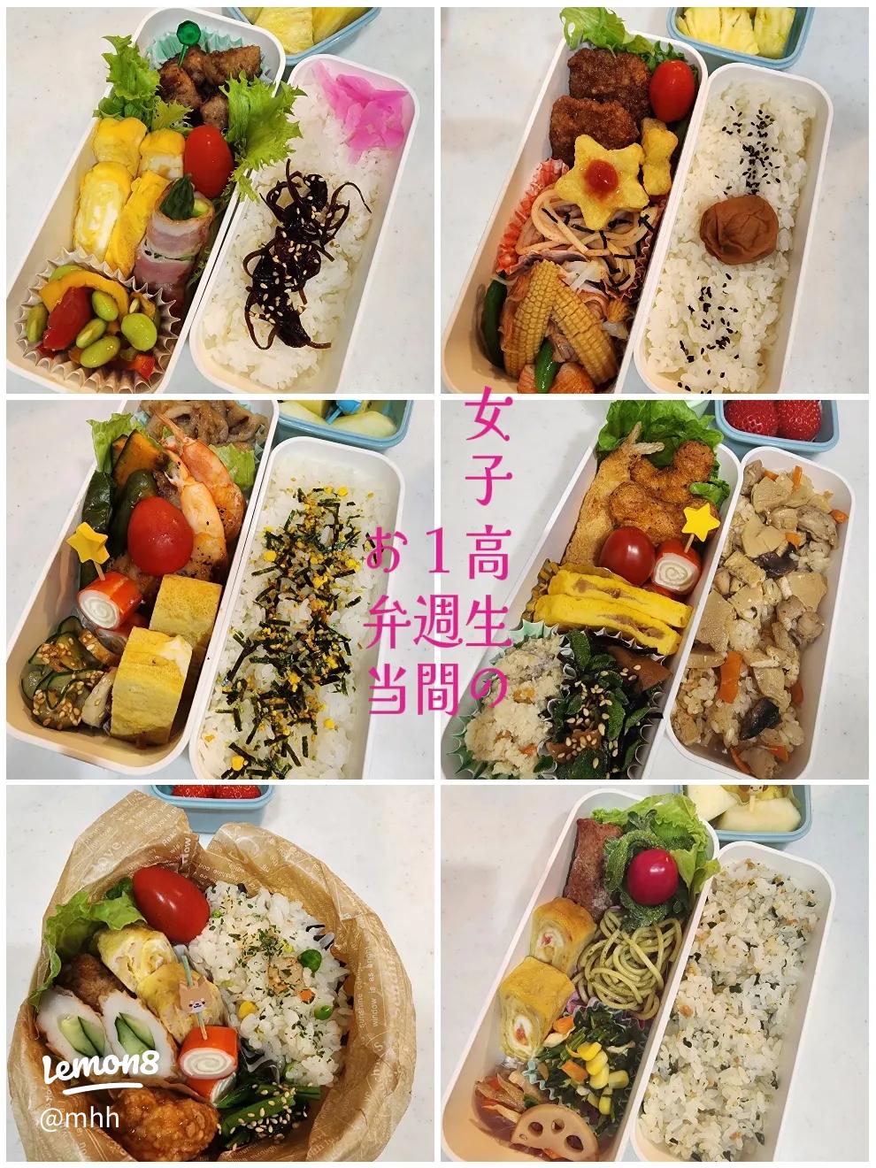 作り置きお弁当レシピ特集 - 一人暮らしの女性におすすめ! 簡単ヘルシーな主菜・副菜アレンジまとめMORE