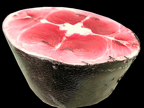 まぐろテールの煮付け！テールを見たら、迷わずこれ！りょく☆のもぐもぐ日記Ⅱ