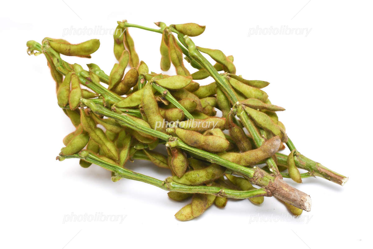 黒枝豆の美味しい食べ方・ゆがき方