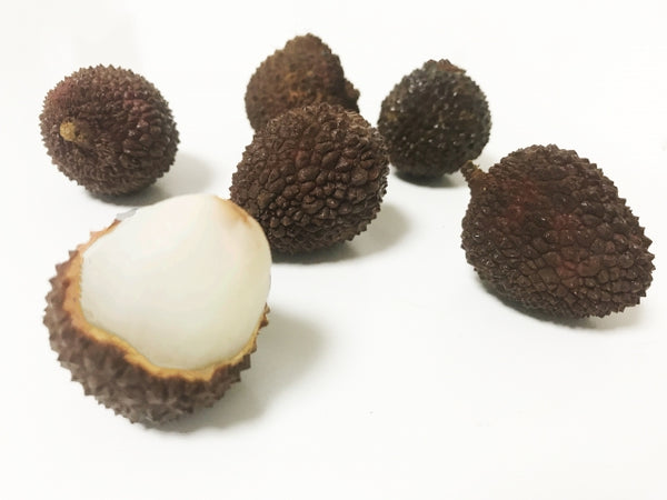 ライチを種から育てる。そだレポ 栽培レポート by木漏れ日みんなの趣味の園芸