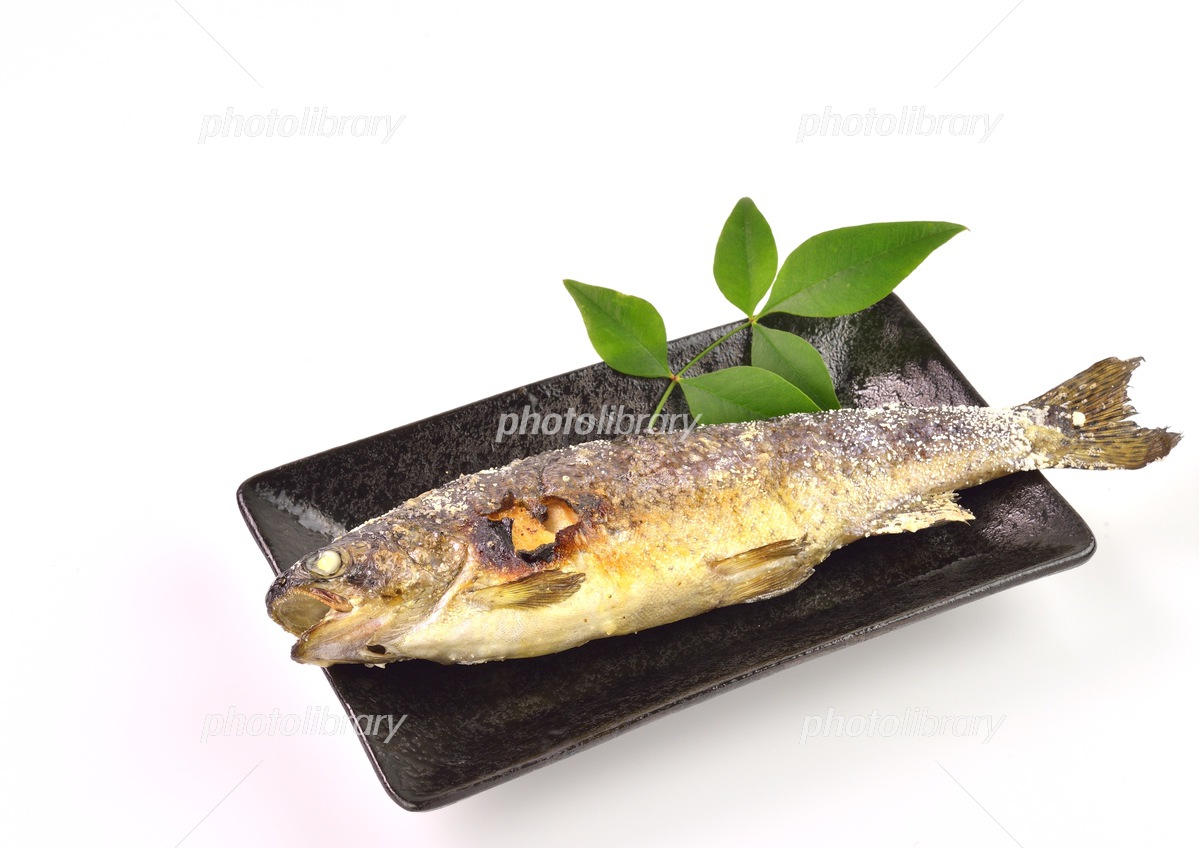 ニジマスの塩焼き下準備JCAの激闘！投げ釣り戦記Ⅱ